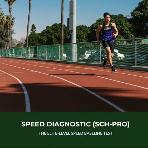 Feuzion S.A.S Speed-Diagnostic (SCH-PRO)